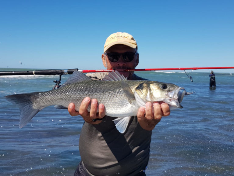 Baptiste Verger Guide P Che Du Bar Du Bord Sur L Ile D Ol Ron