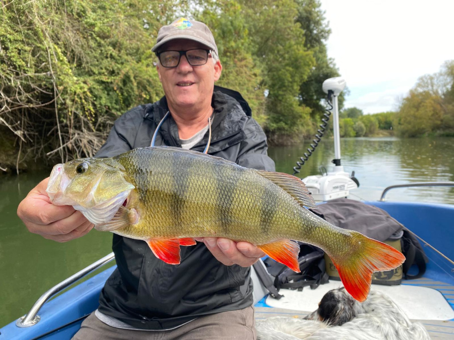 grosse perche en bateau
